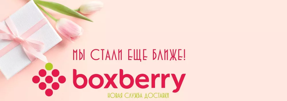 Новая служба доставки Boxberry